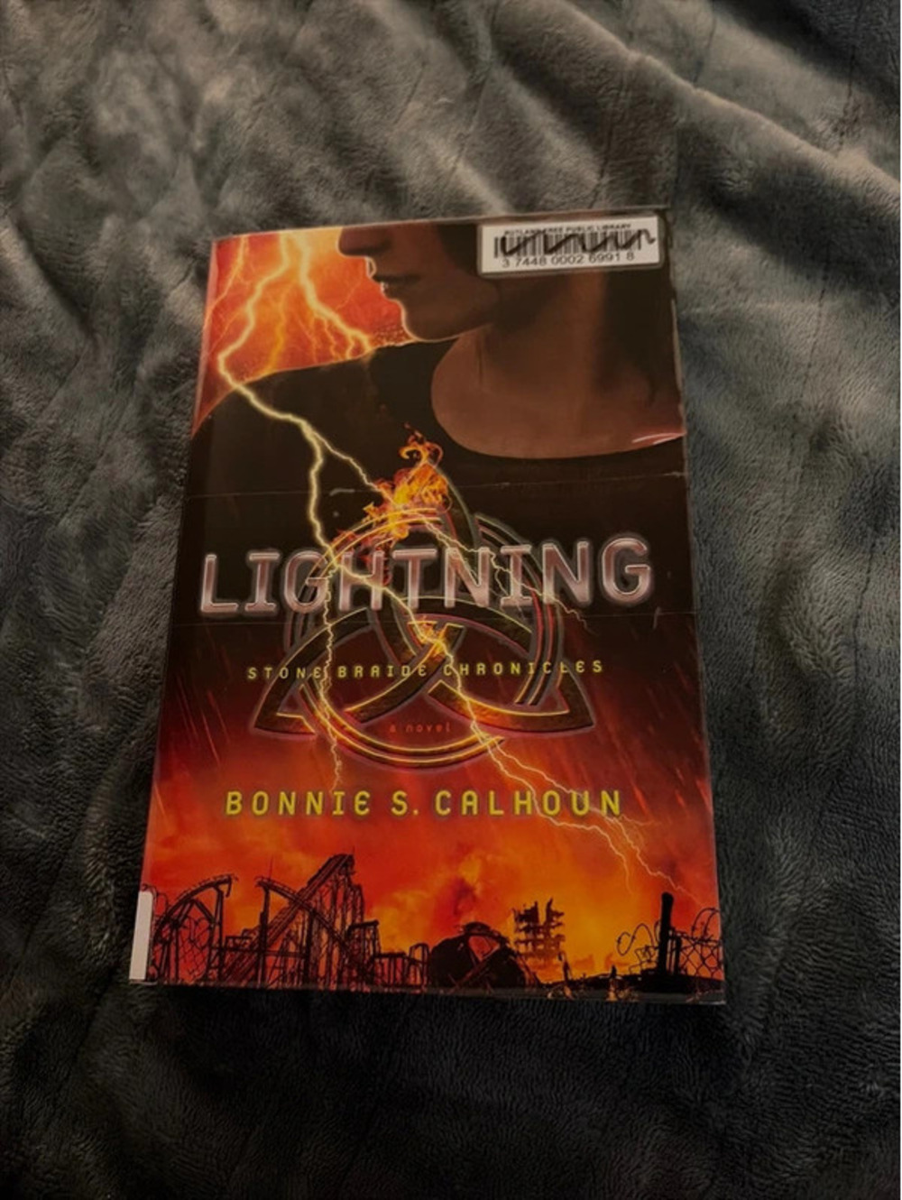 Lightning by Bonnie S Calhoun